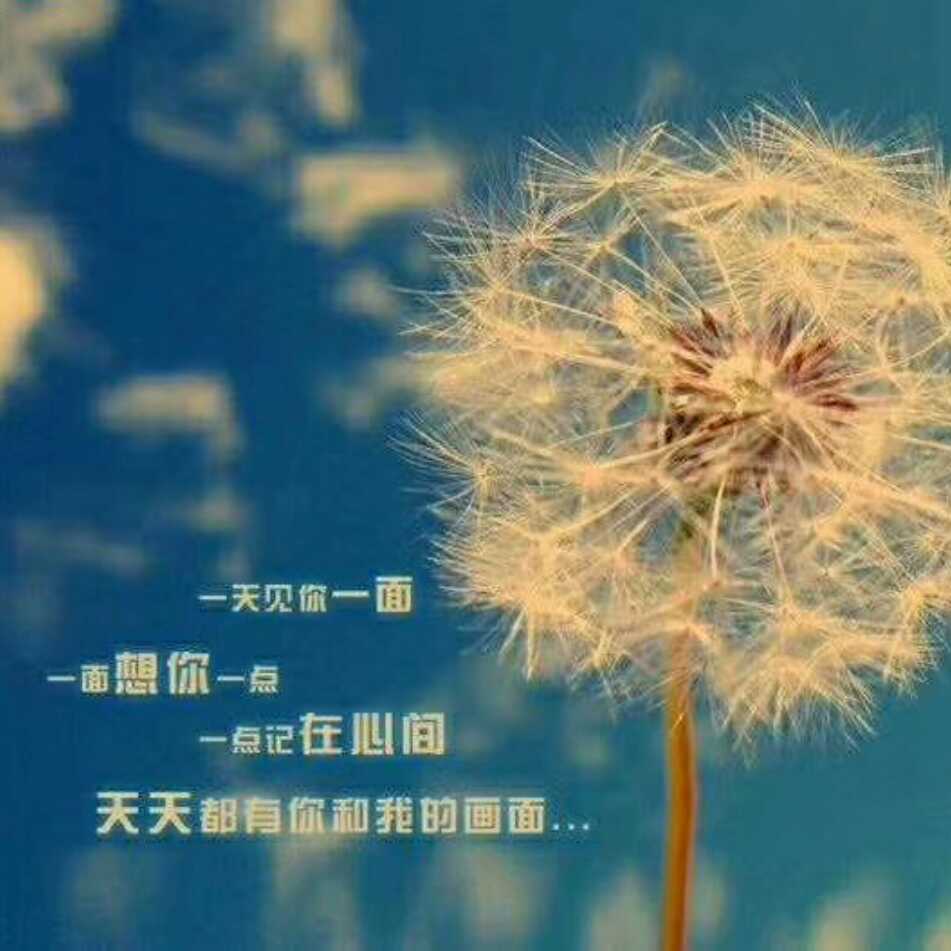 带不走的夏伤的图像