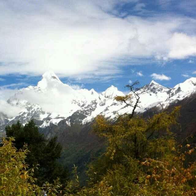 除了坚强我别无选择i的图像