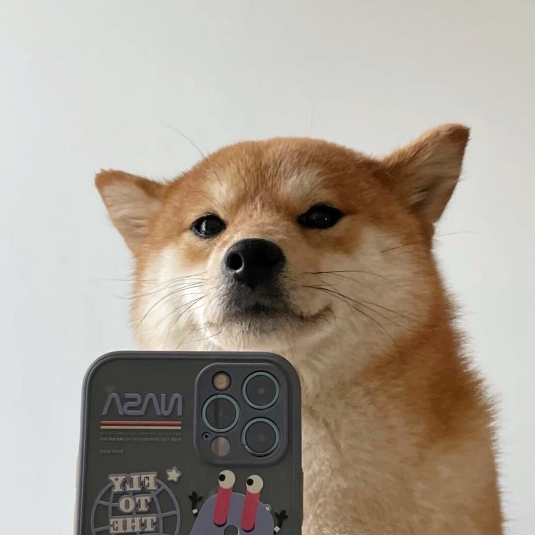 俞佳琪的图像