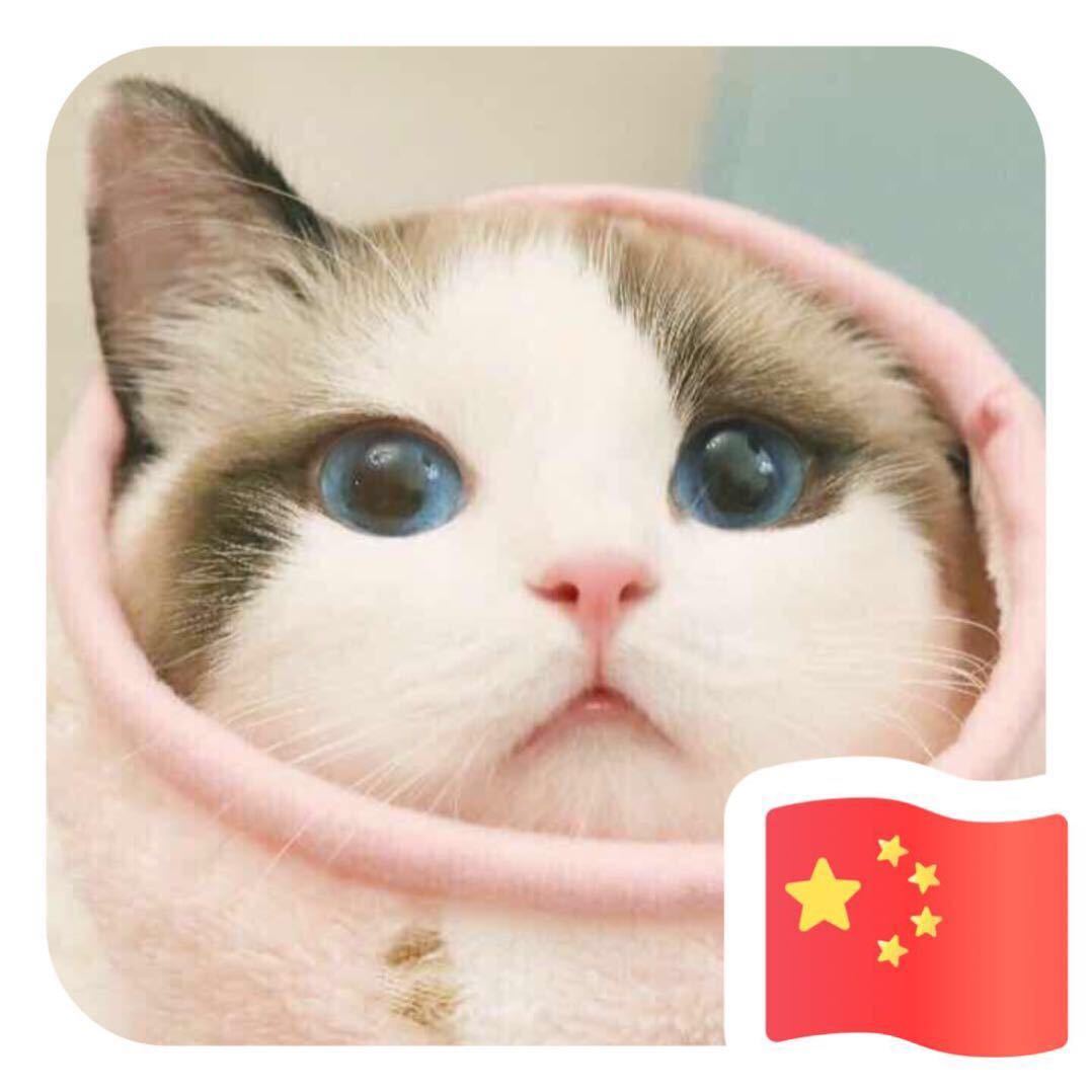 娇娇的图像