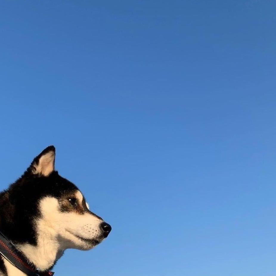 请设置昵称的图像