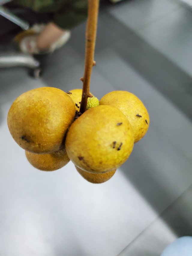    小小yang的图像