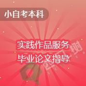 小自考本科-实践作品服务+毕业论文指导